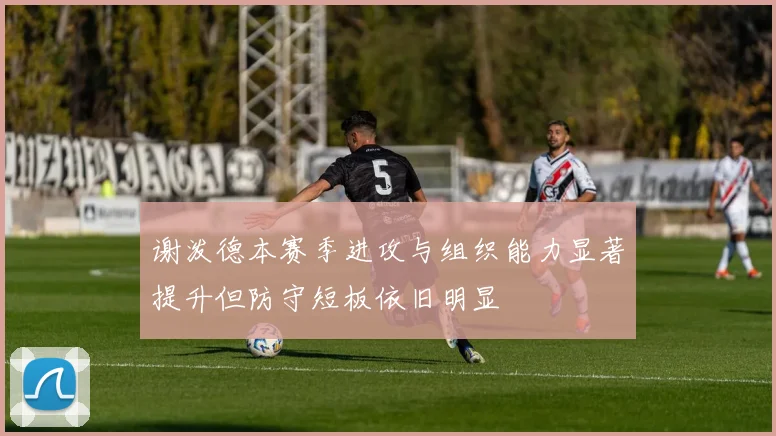 谢泼德本赛季进攻与组织能力显著提升但防守短板依旧明显